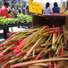 5 Things To Start Looking For At Your Local Springtime Greenmarket